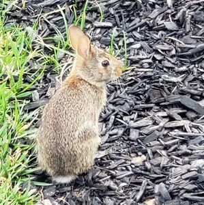 Meet your Posher, Vicky